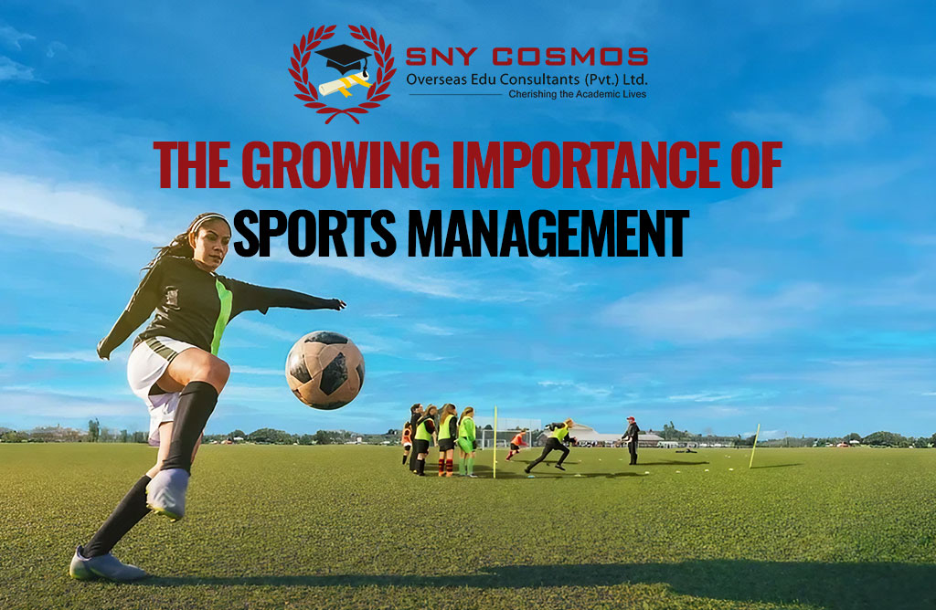 The Growing Importance of Sports Management