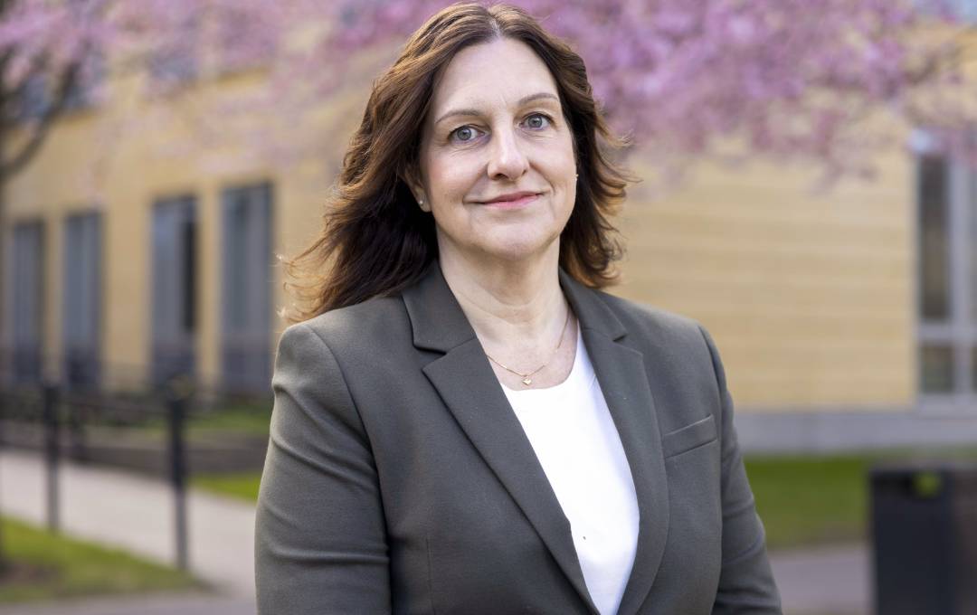 University of Skövde member