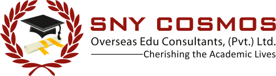 Sny Logo